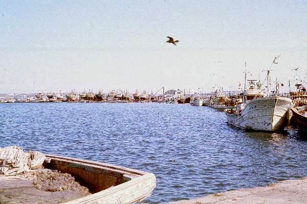 Wakkanai-Harbor-1.jpg 289KB